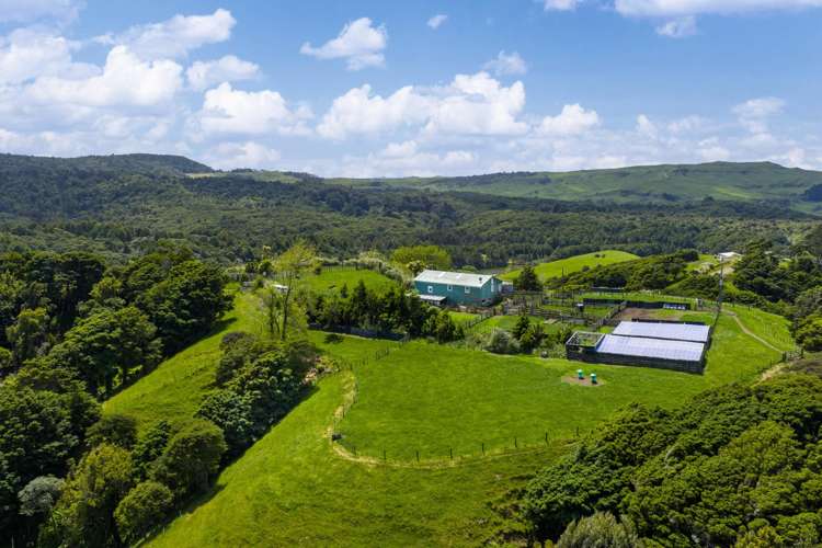 Te Akau Coast Road Te Akau_12