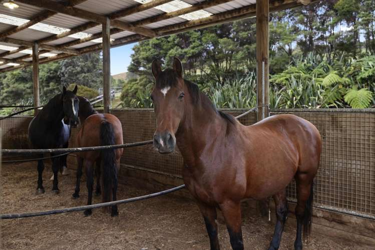 46 Keaney Road Ararimu_35