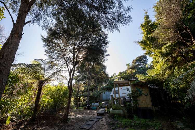 225b Driving Creek Road Coromandel_15