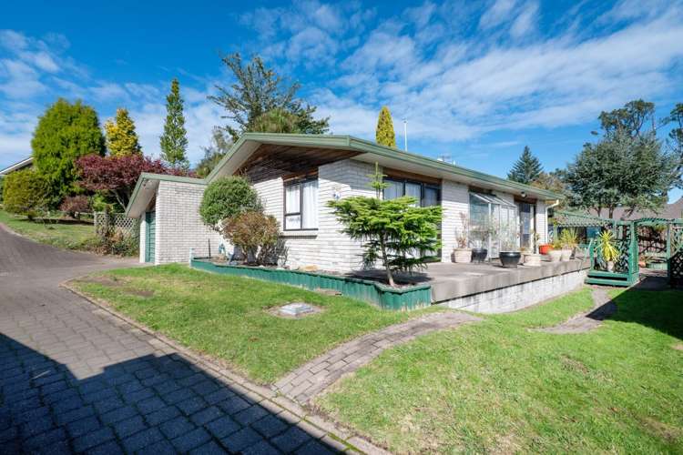 17B Peachgrove Terrace Hillcrest_16