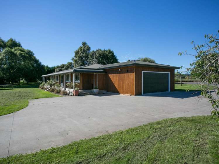 15 Beer Road Tauwhare_19