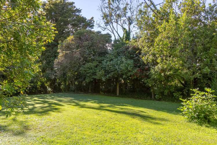 317 Wood Street Greytown_21