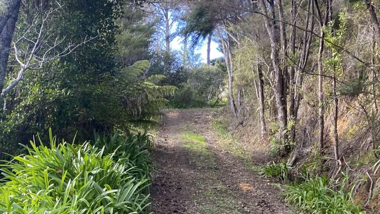 1 Gap Road Awhitu_10