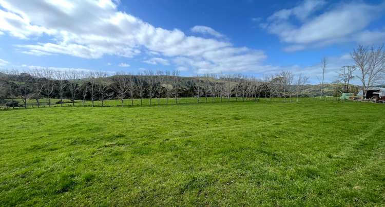 1149 Whangaripo Valley Road Whangaripo_10