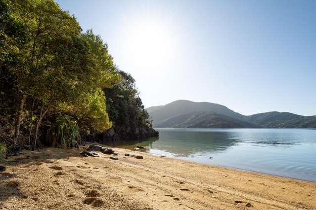 Cherry Bay, Ruakaka Bay Marlborough Sounds_4