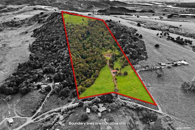 123 Hira Access Road Onewhero_2