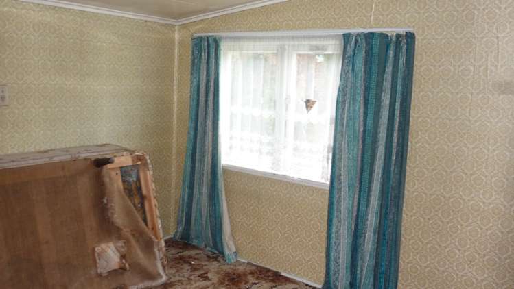 10 Greenfield Street Hector_8