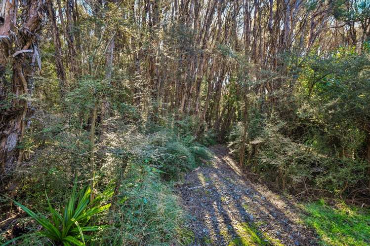 64 Tinline Terrace Mt Lyford_21