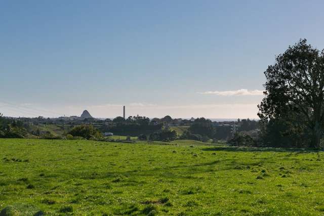 574 Mangorei Road Mangorei_2