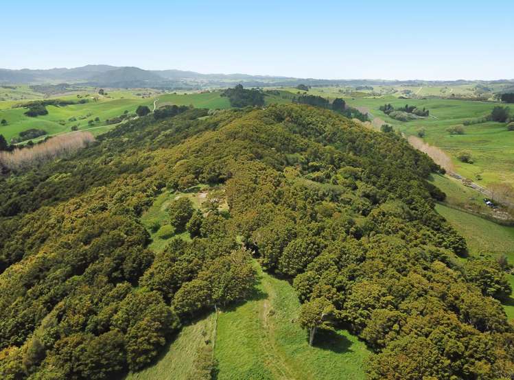 542e Oneriri Road Kaiwaka_3