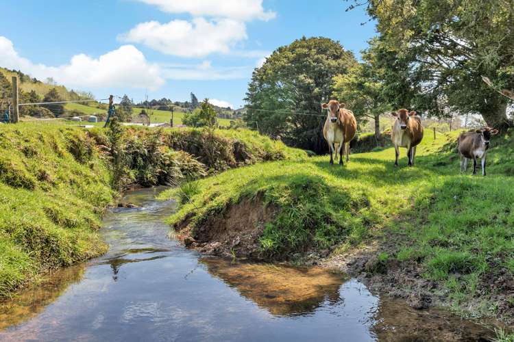 197 Mcbreen Road Hikurangi_18