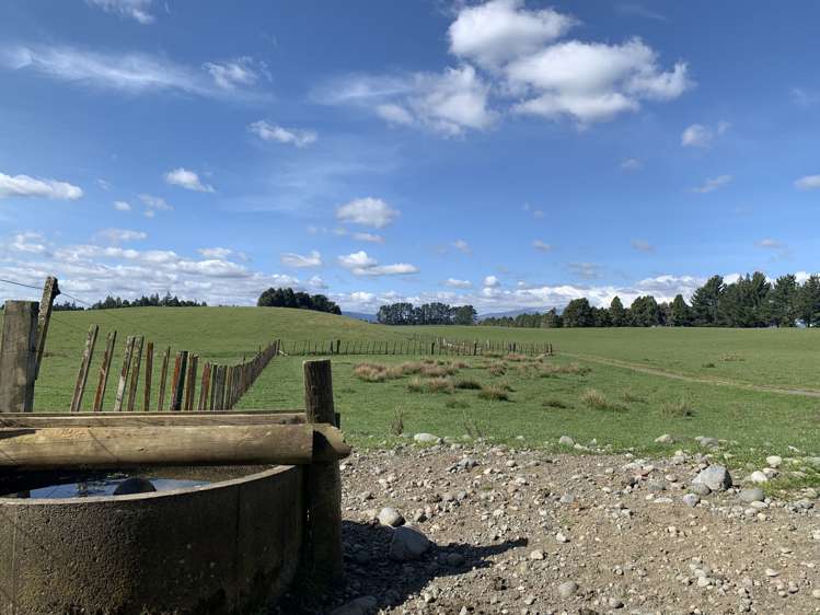 355 Motete Road Raetihi_16