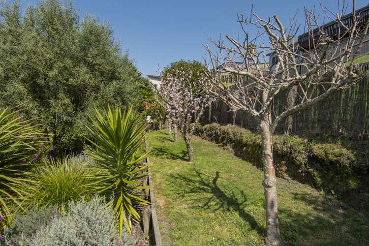 74 Bell Street Judea_17