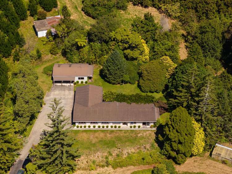 236 Willoughby Road Tahawai_7