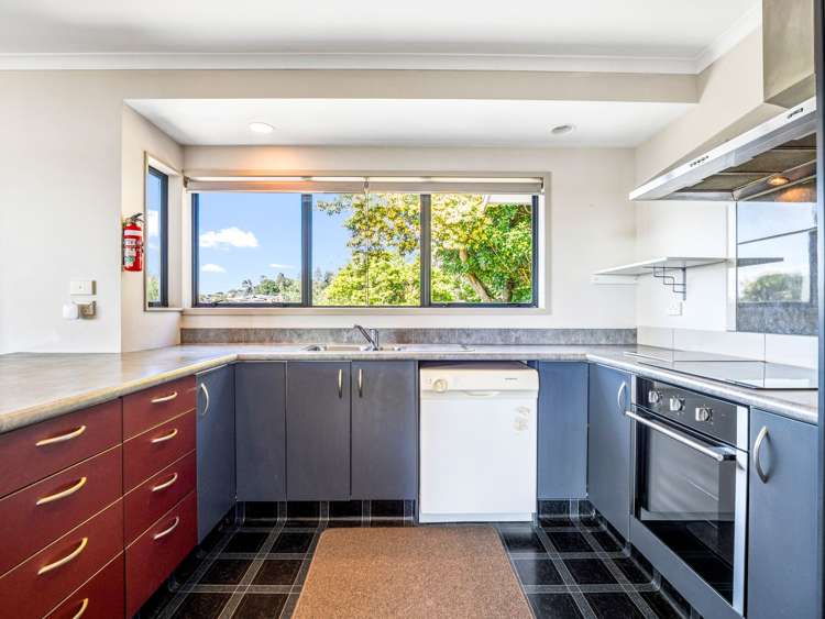 54a Hampton Terrace Parkvale_17