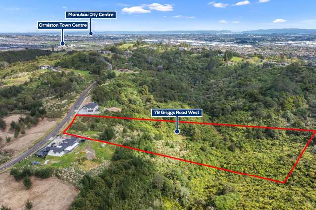 79 Griggs Road East Tamaki Heights_4