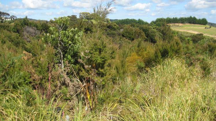 130 Stratford Drive Cable Bay_12