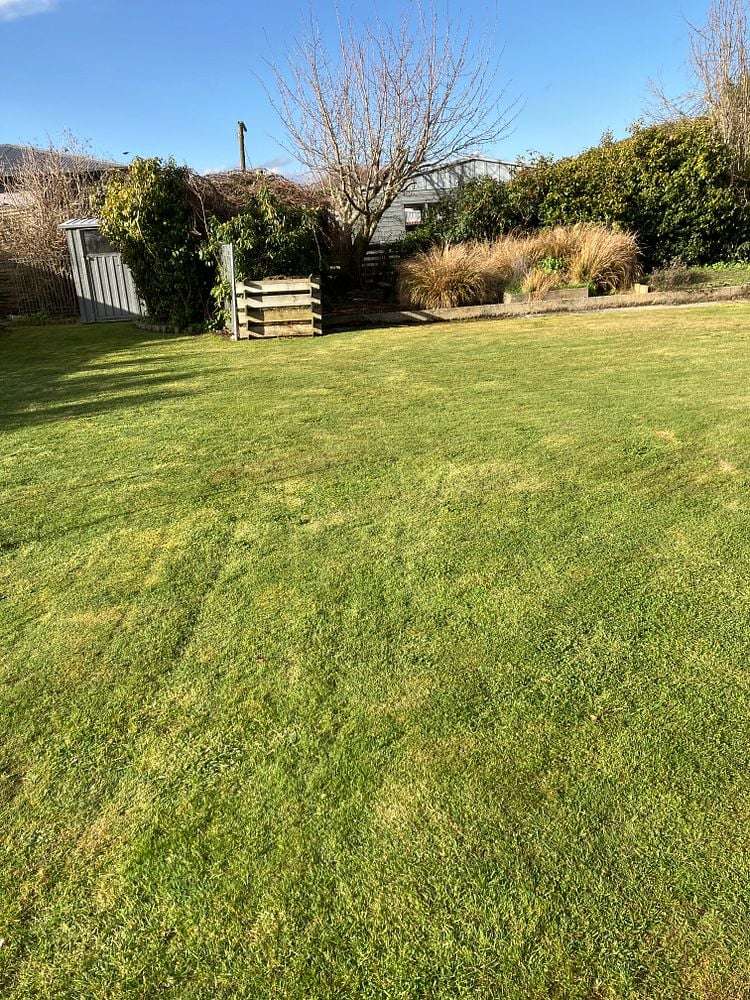 32 Newcastle Street Riversdale_2