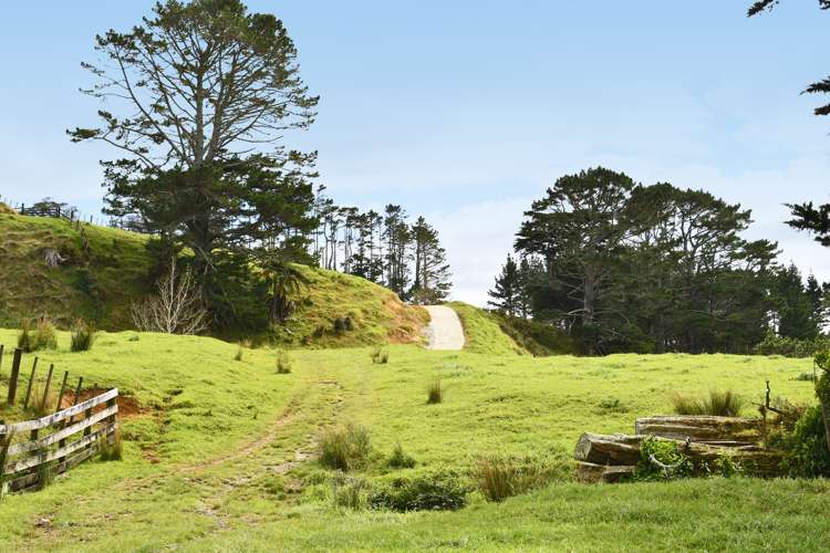 65 Rodney Road Pakiri_5