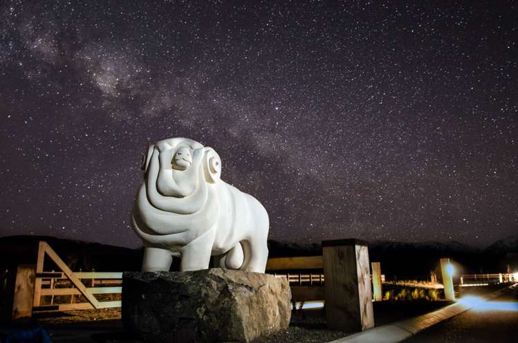 Merino Downs Twizel_7