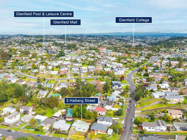 3 Halberg Street Glenfield_29