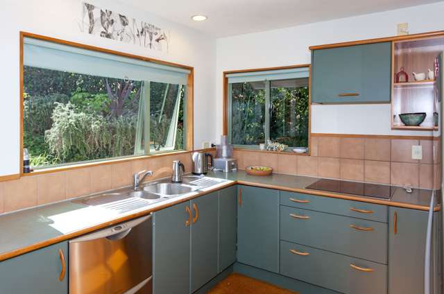 127 The Booms Avenue Thames_4