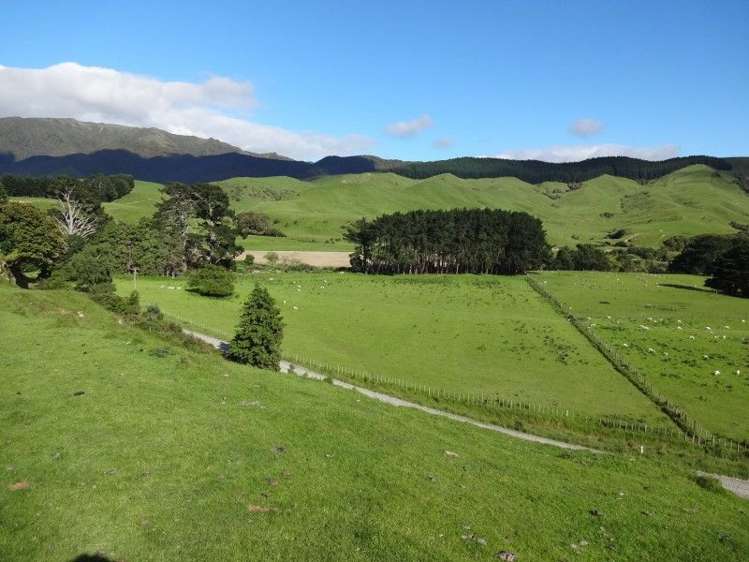 378 Putara Road Eketahuna_12