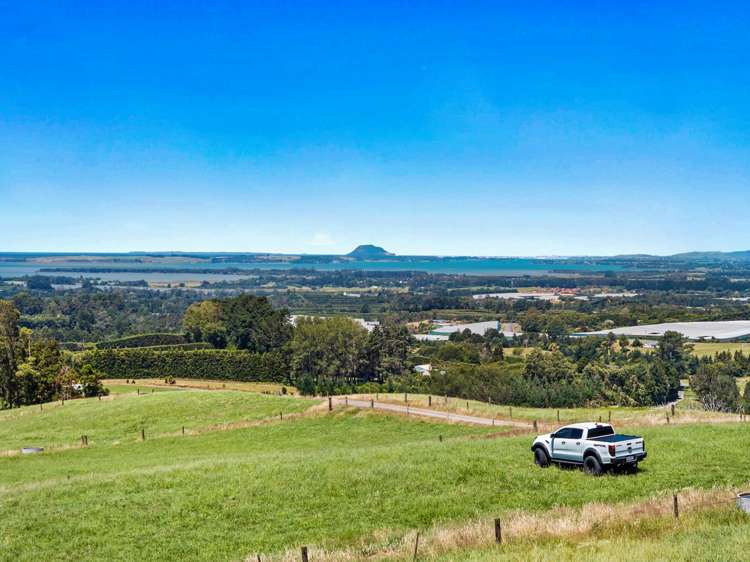 348D Rea Road Katikati_10