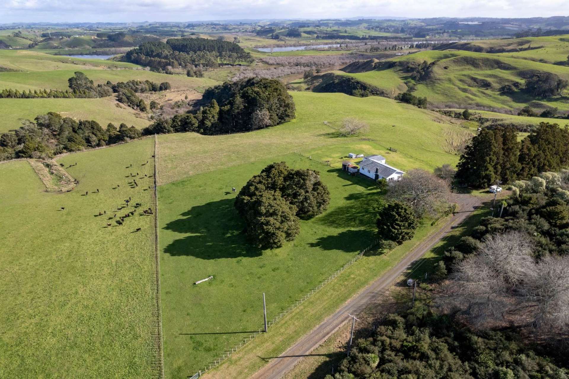 403 Hall Road Rangiriri_0