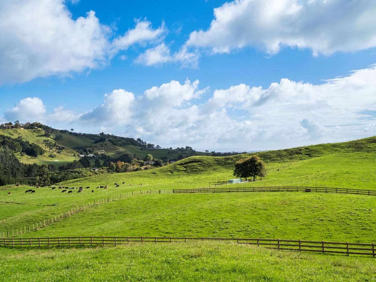 Lot 2,164C Crawford Road_2