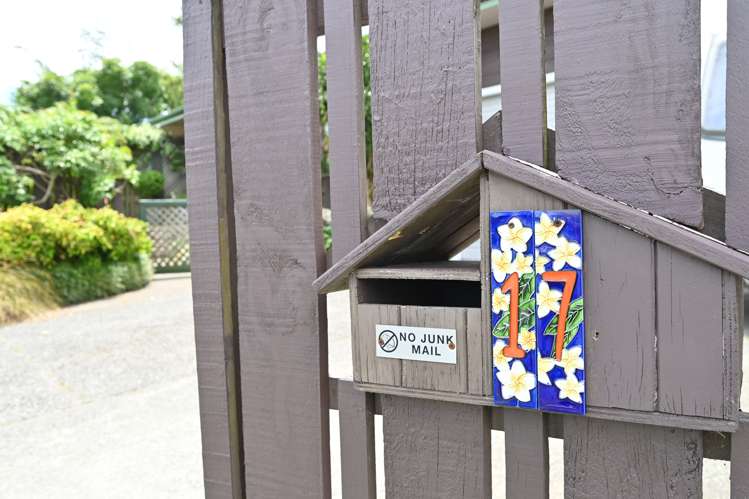 17 Sutherland Street Tamatea_22