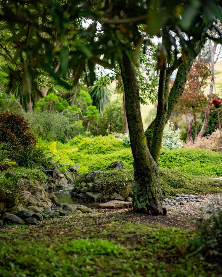 239 Redwood Street Witherlea_36