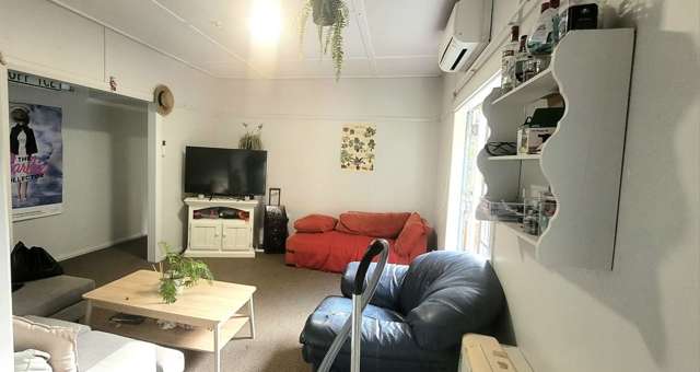 6 Semeloff Terrace Aro Valley_2