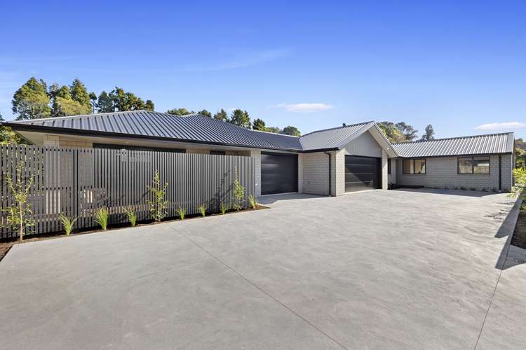 21b Sycamore Grove Lower Vogeltown_20