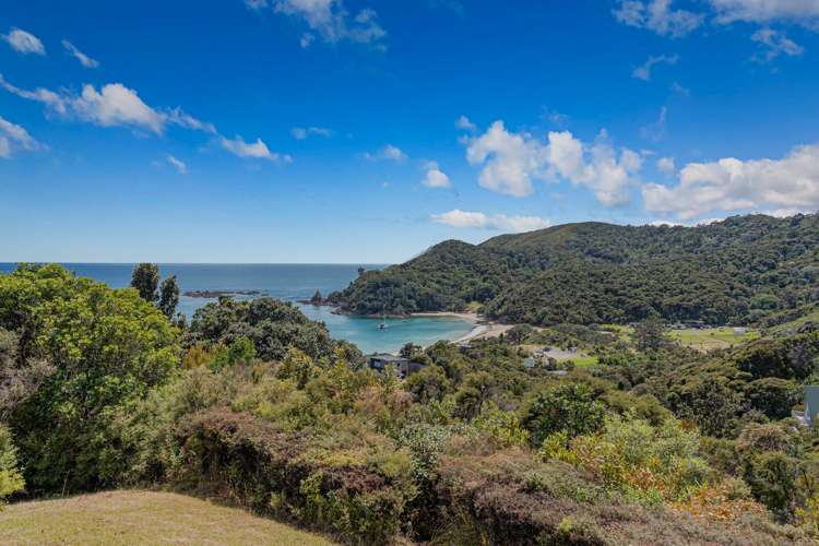 961 Tuateawa Road Waikawau_12