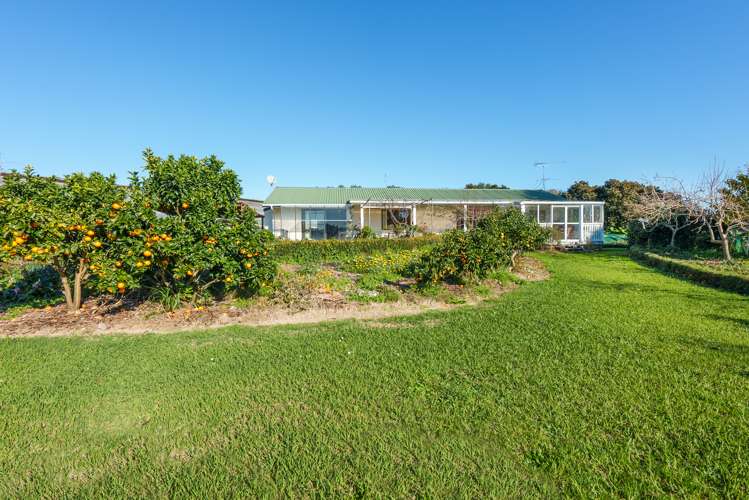 431 Fitzgerald Road Drury_15