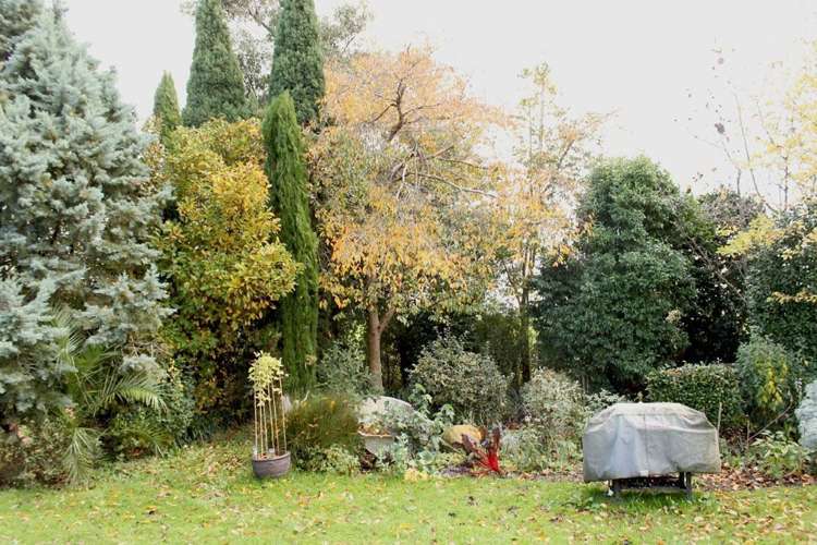 95 Gordon Avenue Te Aroha_7