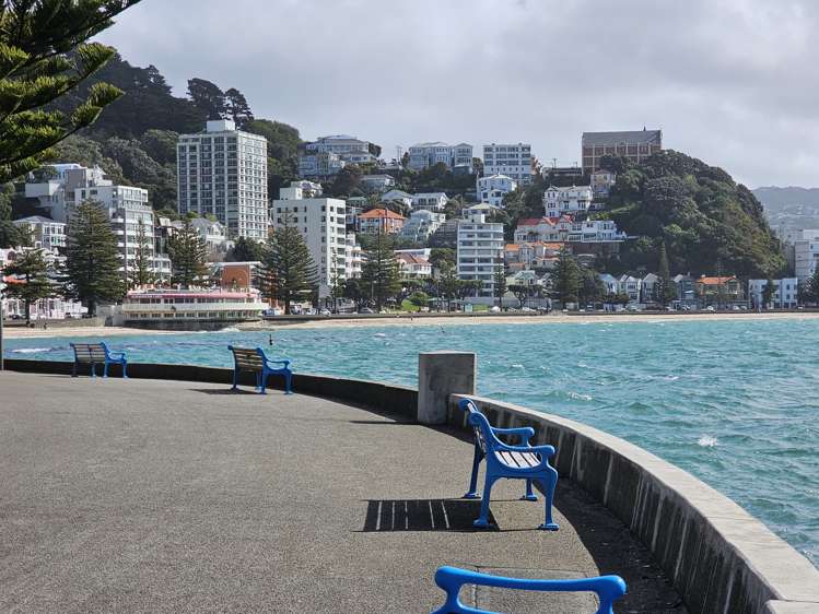 1/326 Oriental Parade Oriental Bay_21