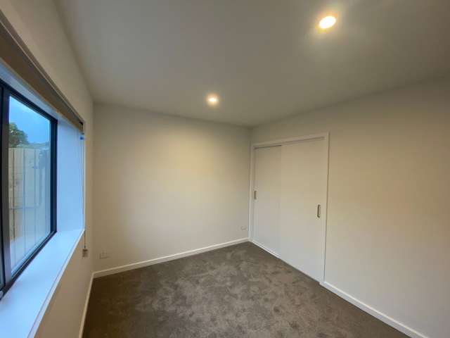 16B Martin Street Palmerston North_3