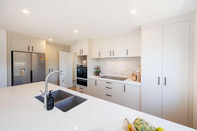 238b Park Road Hokowhitu_1