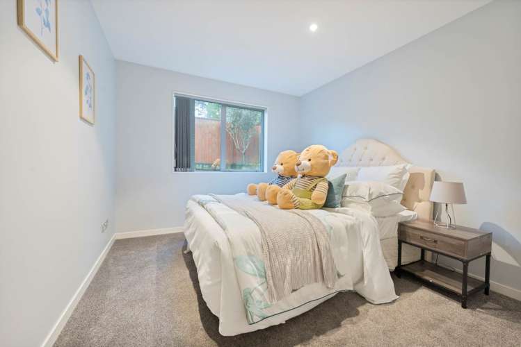 58b Staveley Avenue Mount Roskill_32