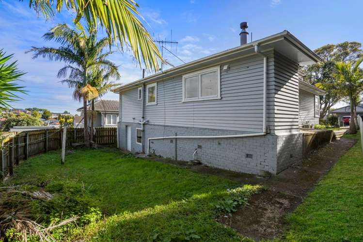 23 Carlton Street Hillsborough_11