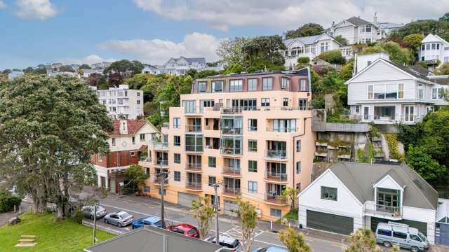 9/80 Salamanca Road Kelburn_3
