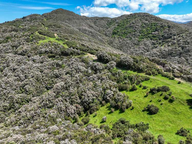 85696 State Highway 2 Mount Bruce_1