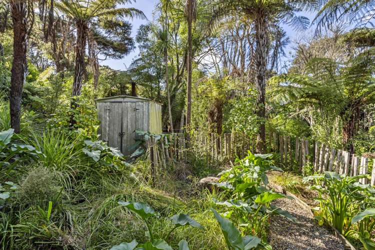 102B Greenslade Road Raglan_22