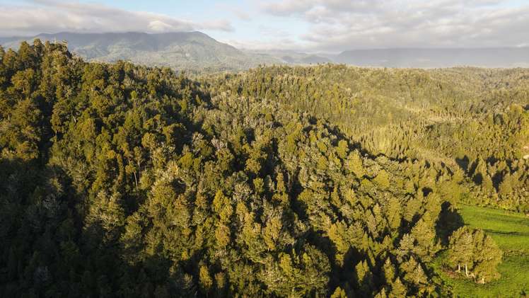 LOT 1 Granite Creek Road Karamea_16