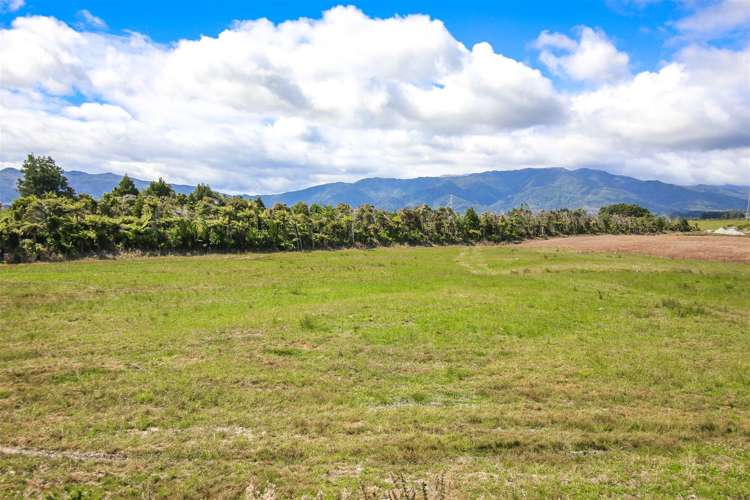 Alma Road Westport_8