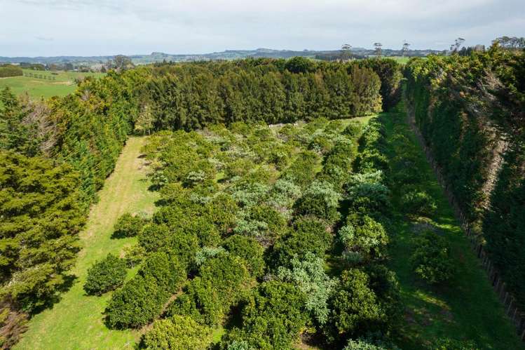 908A Te Ahu Ahu Road, Waimate North Kerikeri_14