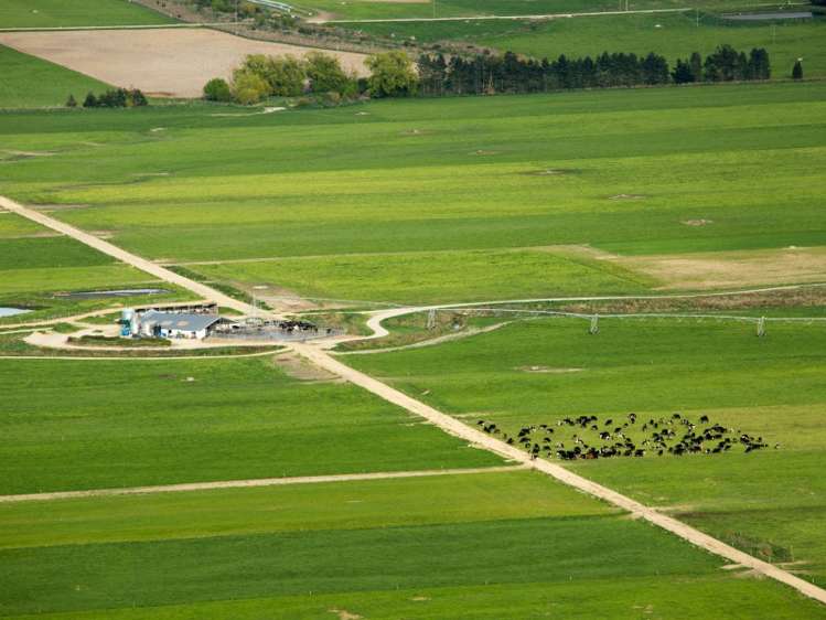 276 Talbot Road Fairlie_0