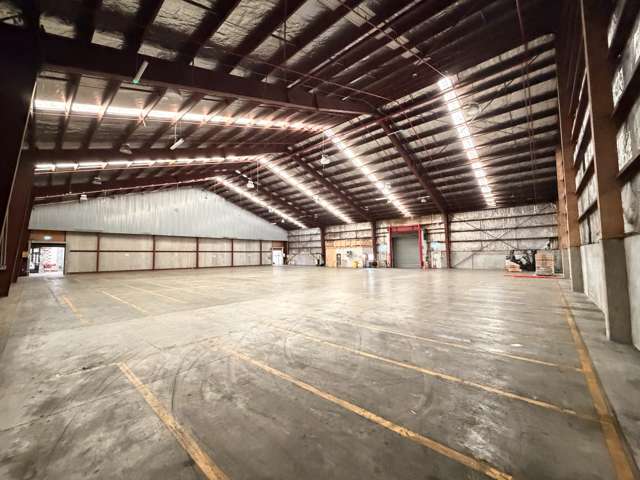 476 Jackson Street Petone_2